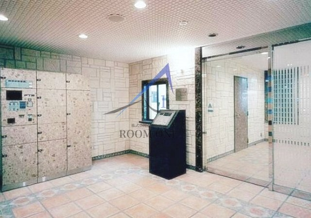 ガラ・ステージ市ヶ谷弐番館のエントランス|エントランスです。