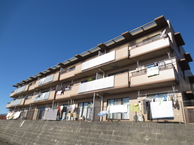 ＴＡフラット桐の木の外観|外観