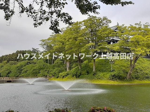 ハイツひばりの周辺|周辺施設