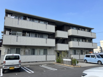 コモドの画像