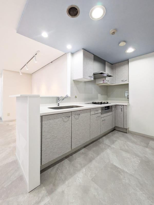 ハウス東雪谷の収納|収納