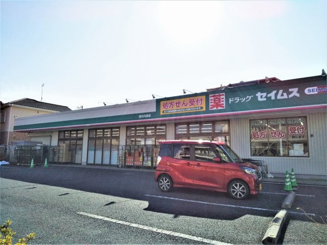 レオネクストルナ大宮の周辺