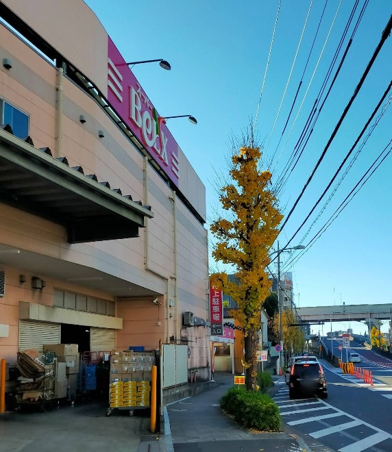 シャンブル綾瀬Ｇの周辺|ベルクス足立綾瀬店 294m