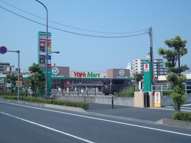パインズガーデンの周辺|ヨークマート草加店まで1,009ｍ