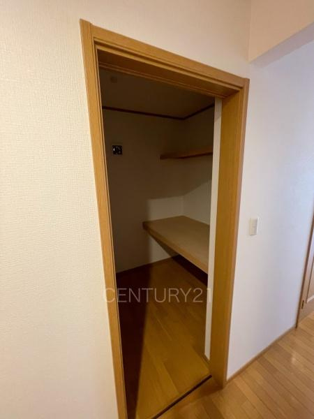 伊勢崎市連取本町中古一戸建ての収納|収納スペース