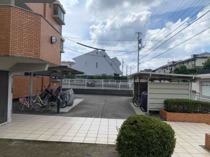 シャロンエースの展望
