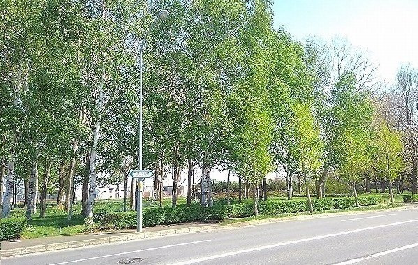 パークサイドＡの周辺|屯田西公園まで200m