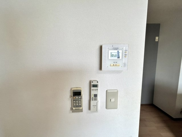 パルメートAのその他