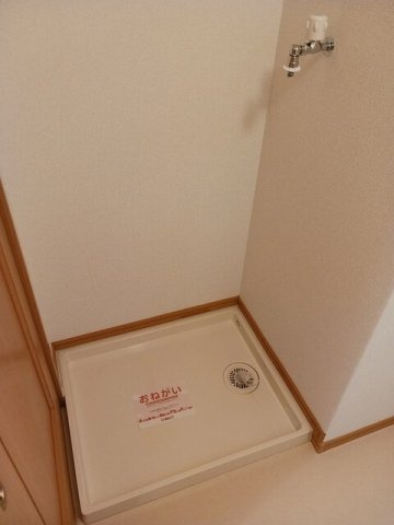 アンジェリカ　Ａのその他