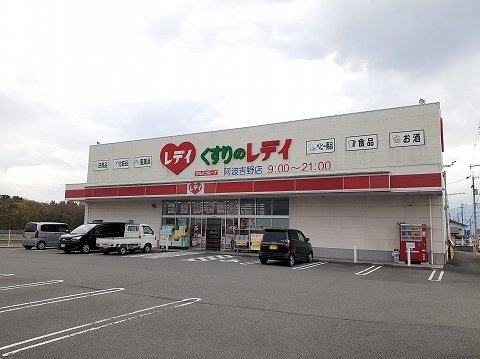 ブリリオの周辺|くすりのレディ阿波吉野店様まで1900m