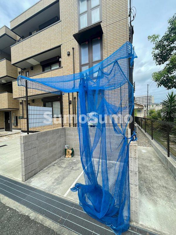 ブル・マリーノ衣掛のその他