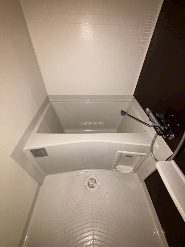 Luxe難波西Ⅲの浴室