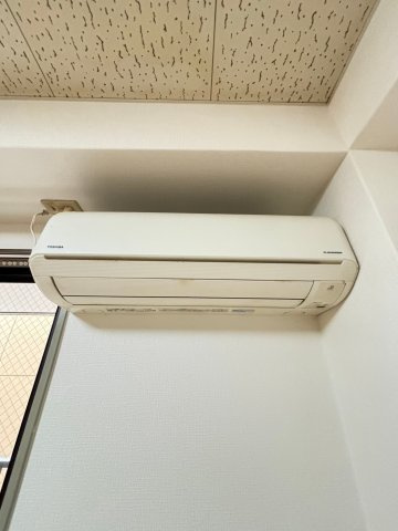 レーベンハイムのその他