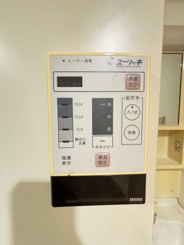 レーベンハイムのその他