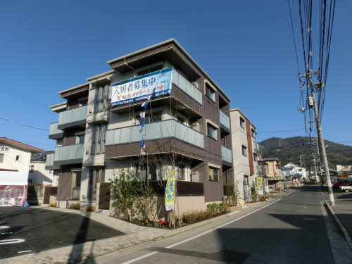 Ｏａｋ　Ｆｏｒｅｓｔの画像
