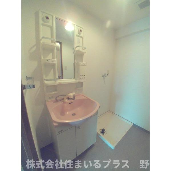 ニューセンチュリー西村の洗面所