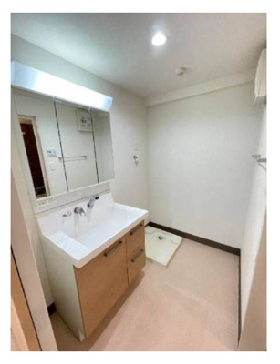 【洗面所】 | オーシャン・ヴィラ | 同建物別部屋写真参考