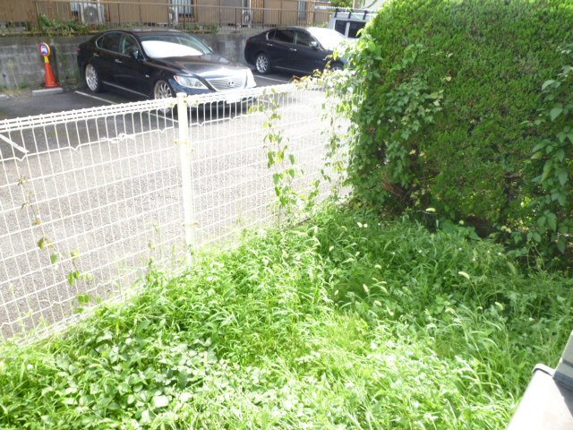 ☆専用庭☆※参考写真