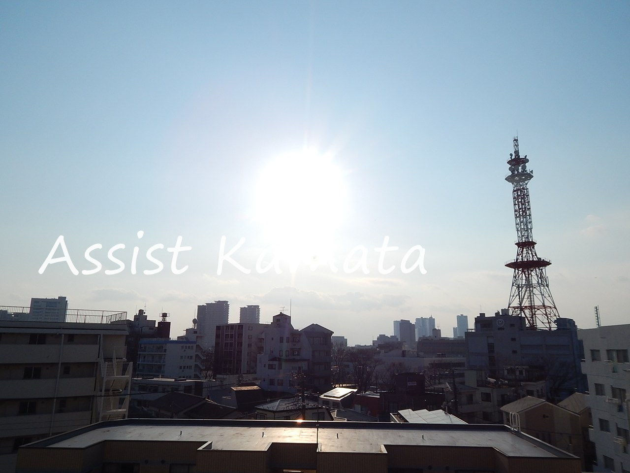 フラリッシュの展望