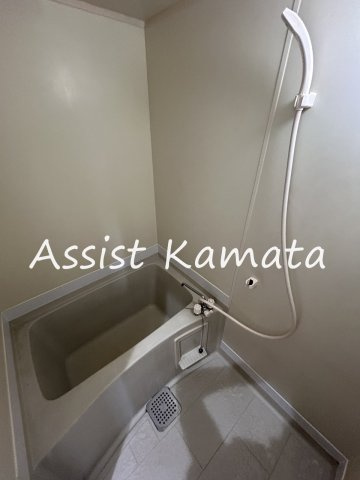 フラリッシュの浴室
