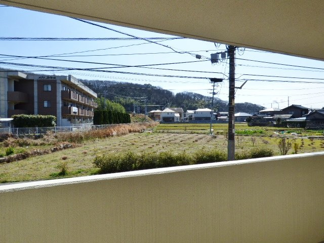 ニューリバティ藤田の展望