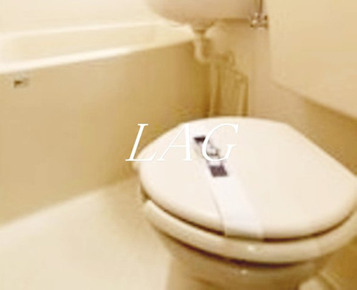 【トイレ】 | ビクセル川崎 | トイレです。