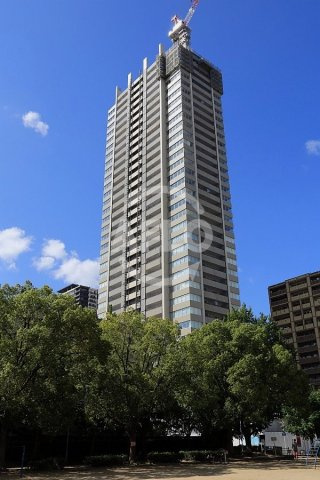 ジオタワー南堀江　日吉小学校のその他|ジオタワー南堀江　３５階建て分譲タワー