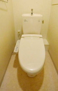銀座レジデンス壱番館のトイレ|トイレもきれいです