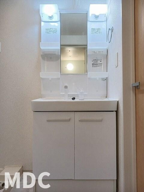 グランデ　成長　Ｂの洗面所