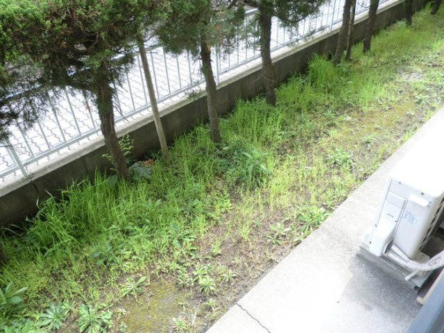 【庭】