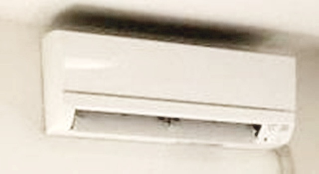 ベルカーサカモチ のその他