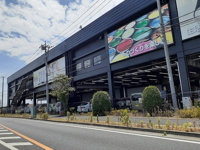 ジョイフル本田幸手店まで950m