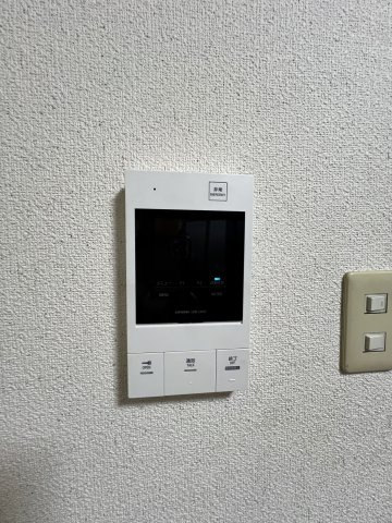 2024年撮影