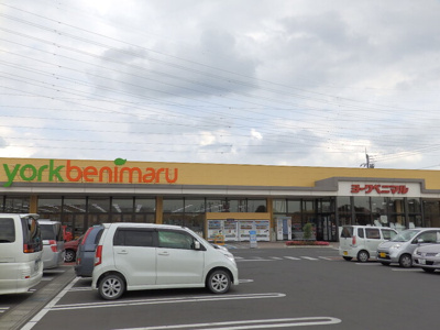  | グレース ラパン | ヨークベニマル