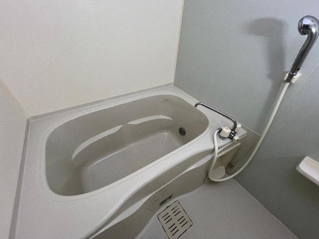 バス