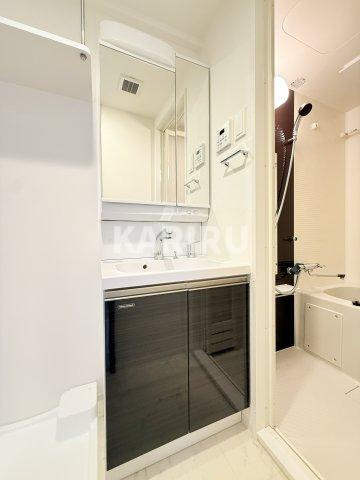 IW RESIDENCE大阪CREST TAPPの洗面所