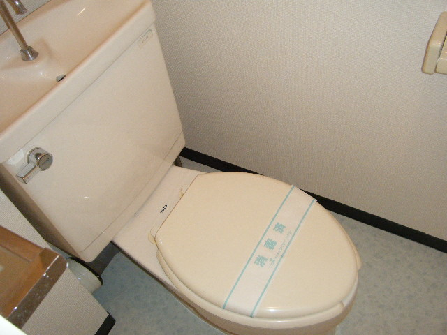 川島ハイツⅡのトイレ