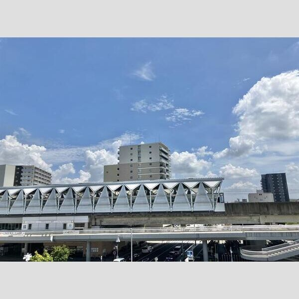 ライオンズ守谷駅前プレミアムのその他