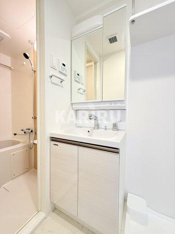 IW RESIDENCE大阪CREST TAPPの洗面所