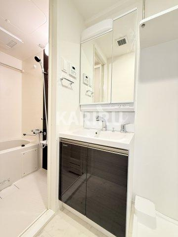 IW RESIDENCE大阪CREST TAPPの洗面所