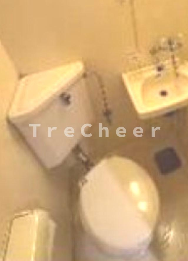 パークサイドコーポのトイレ