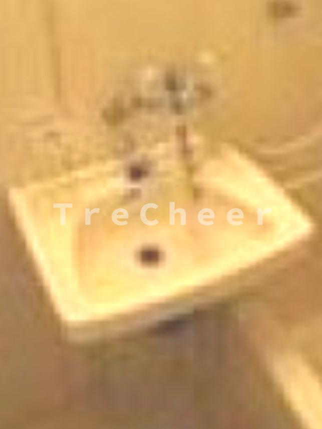 パークサイドコーポの洗面所