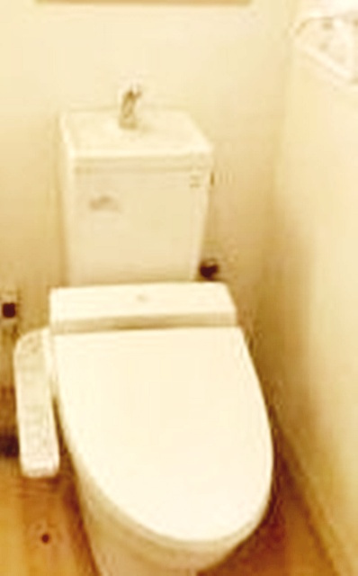 ＳＵＮＮＹＳＩＤＥ　ＫＩＢのトイレ|トイレです。