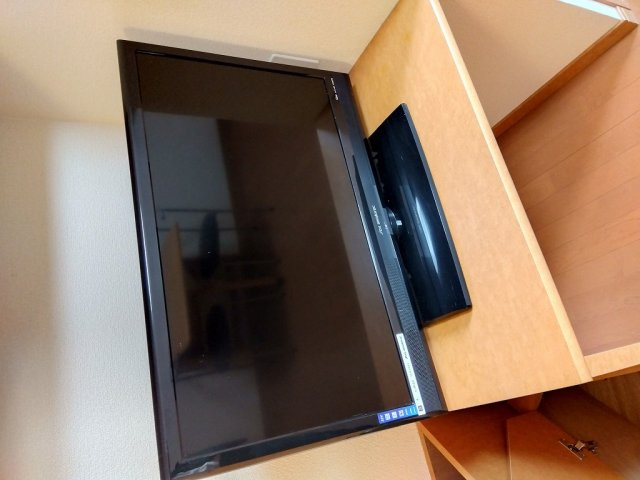 レオパレスローズのその他|テレビ