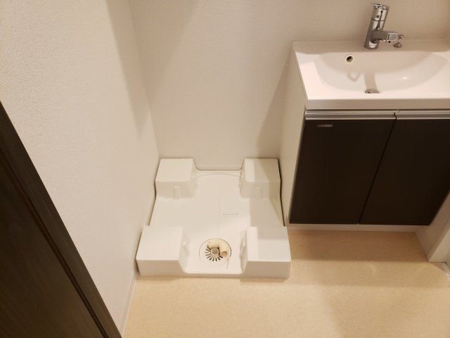 ラフィスタ新小岩Ⅲの洗面所
