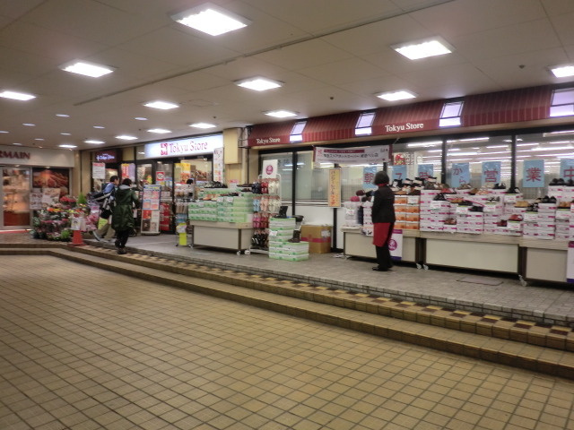 ＬＫフラットのその他|菊名東急ストア