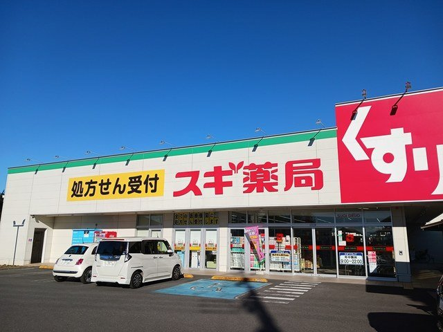 セレーノ・アロッジオの周辺|スギ薬局野田下町店まで734m