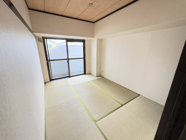 アフィニス原木のその他