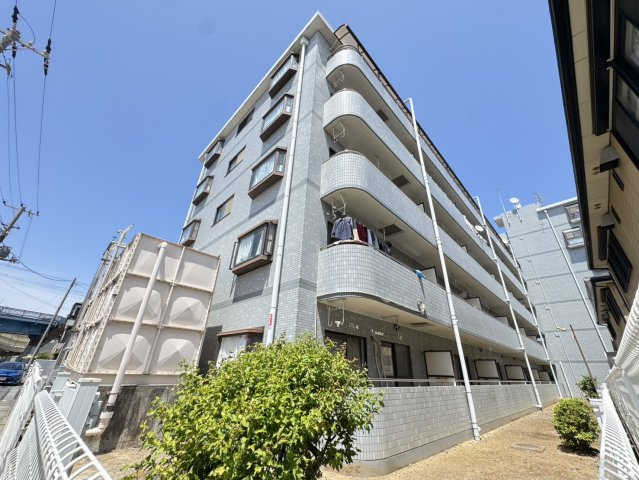 アフィニス原木