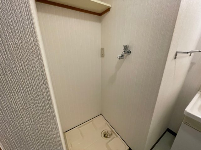 ロジュマン門真の洗面所